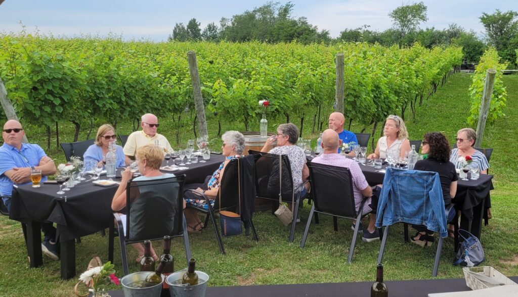 Annapolis Valley, Avon Valley, Ski Martock, live music, Nova Scotia music