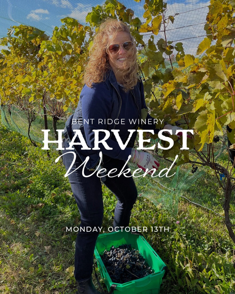 Annapolis Valley, Avon Valley, Ski Martock, live music, Nova Scotia music