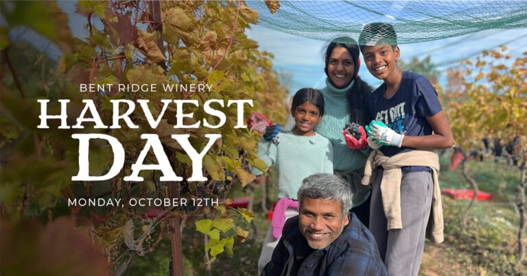 _Harvest Day_Newsletter 3
