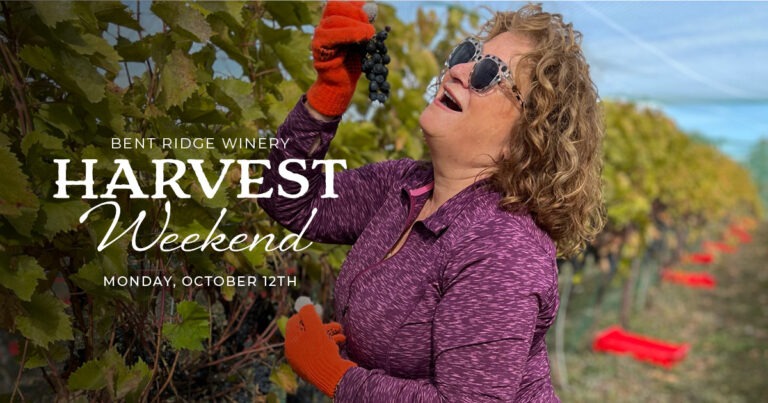 _Harvest Weekend_Newsletter 1