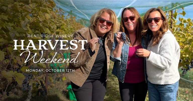 _Harvest Weekend_Newsletter 2