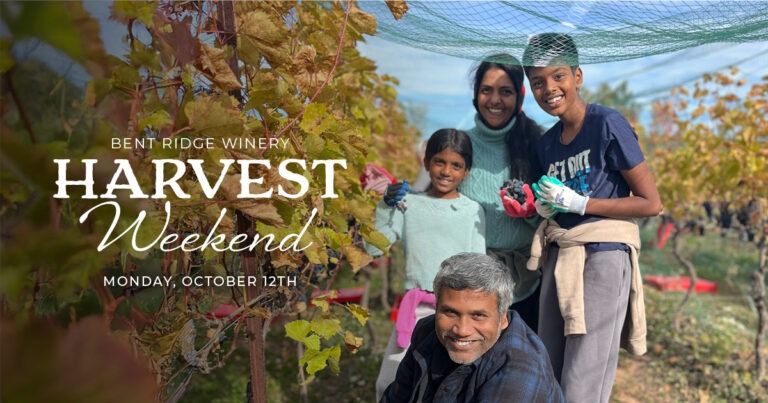 _Harvest Weekend_Newsletter 3