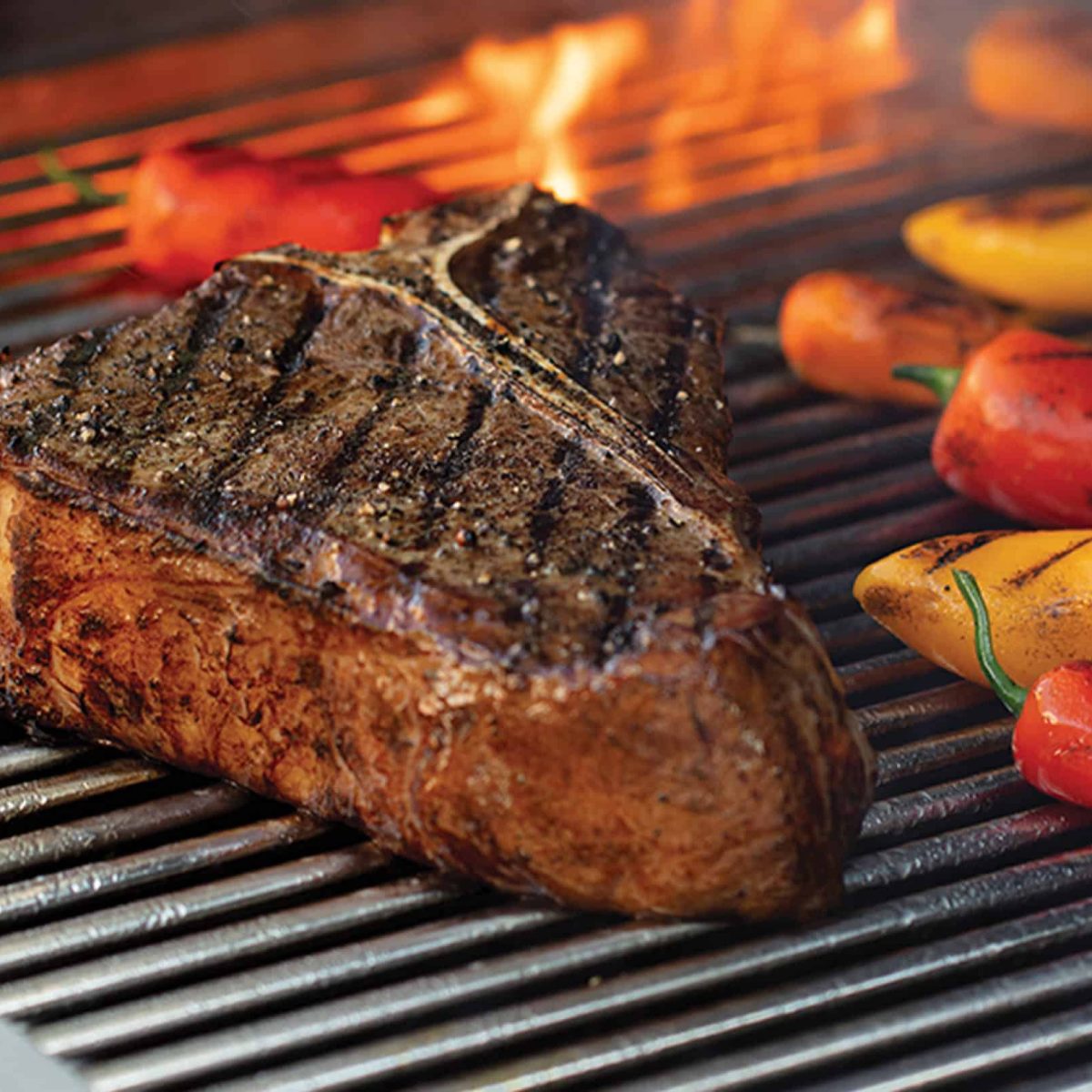 TBone 2 Square